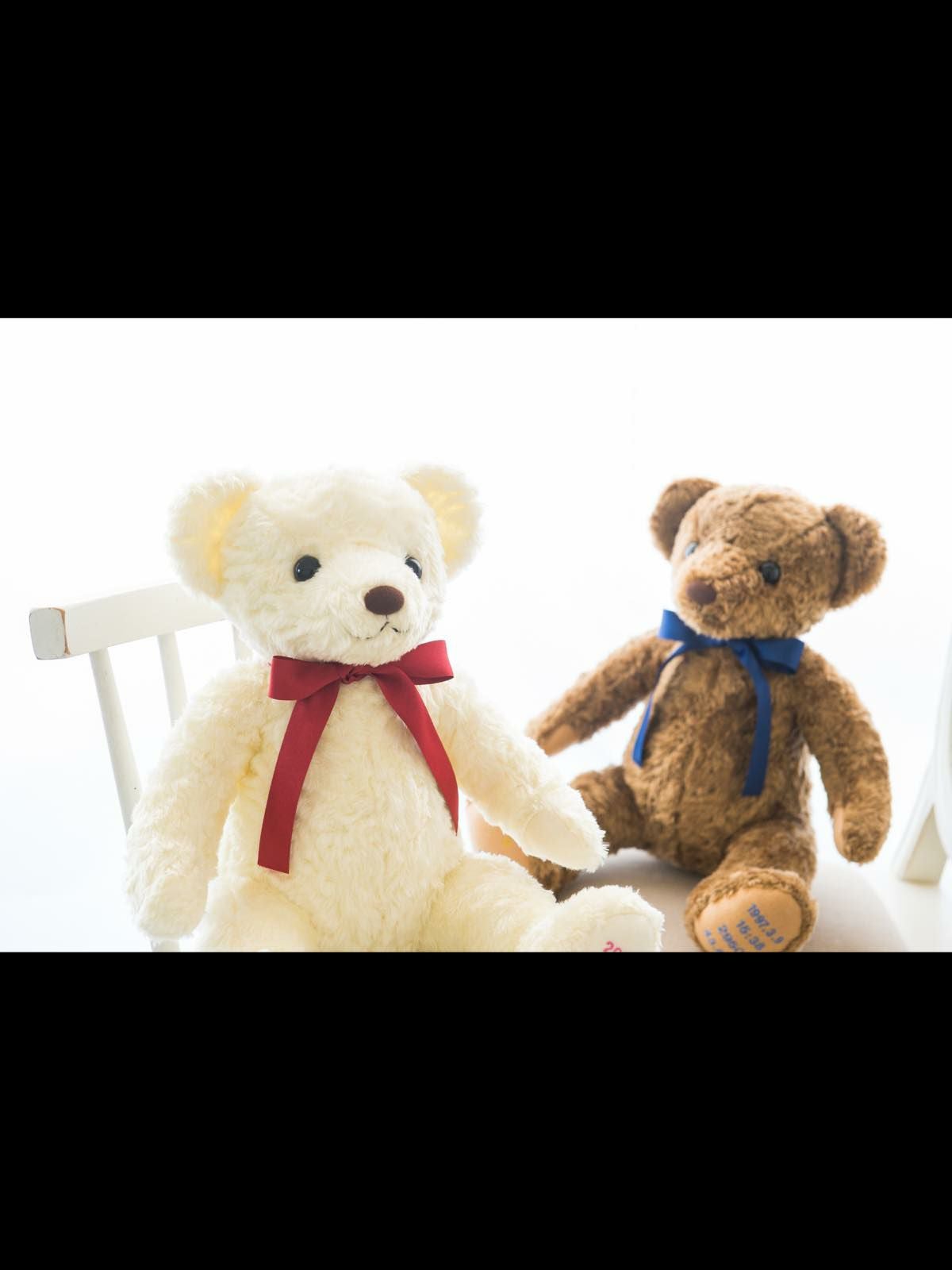 2体セット】刺繍入りウェイトドール（体重ベア）【シュガーベア