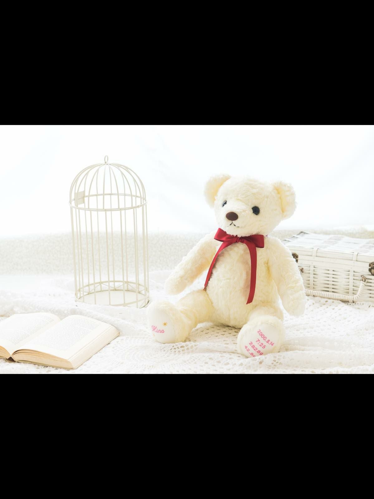 2体セット】刺繍入りウェイトドール（体重ベア）【シュガーベア