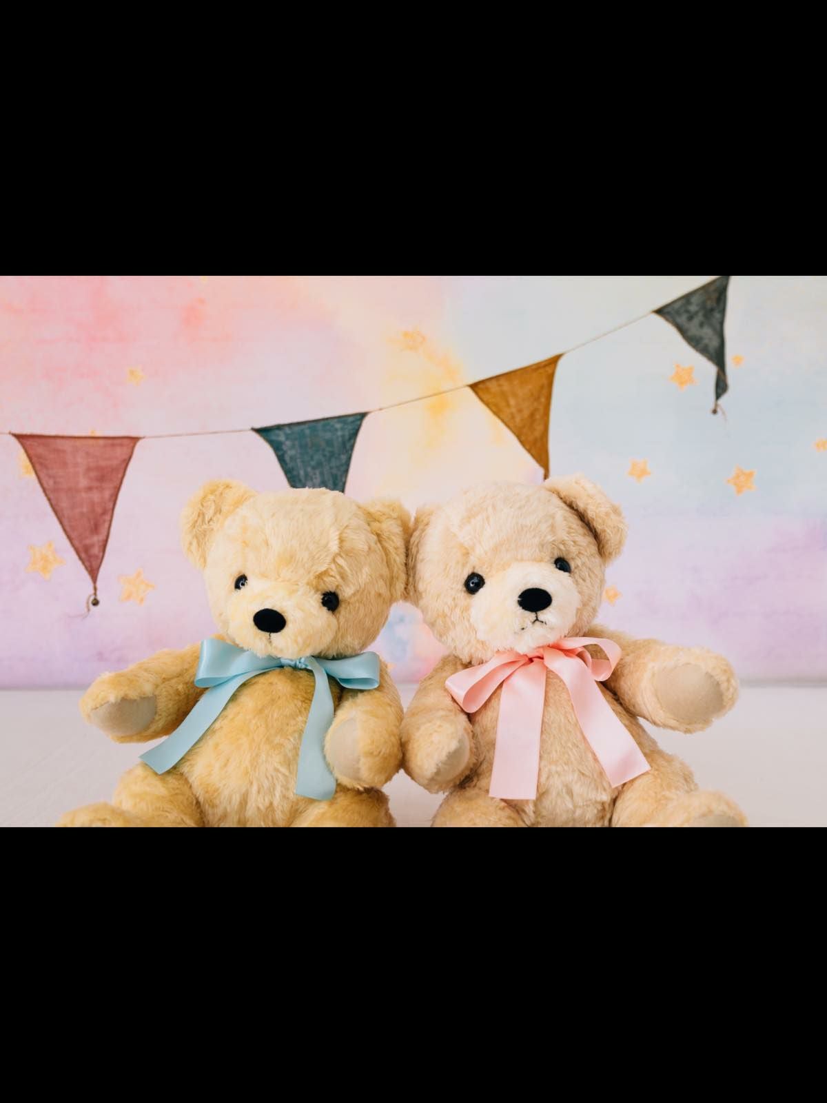 2体セット】刺繍入りウェイトドール（体重ベア）【フルール】 | DRESSY